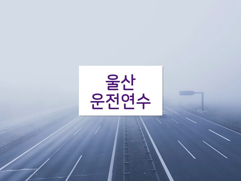 울산운전연수 후기
