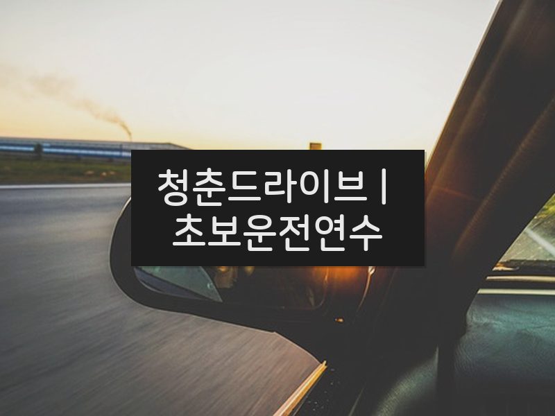 청춘드라이브 | 초보운전연수 후기