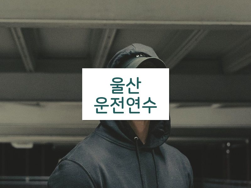 울산운전연수 후기