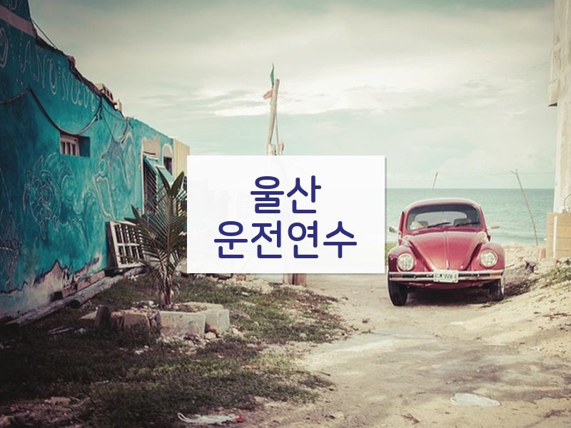 울산운전연수 후기