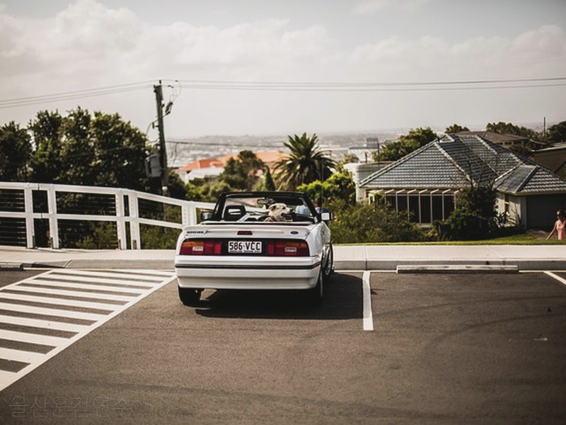 울산운전연수 후기