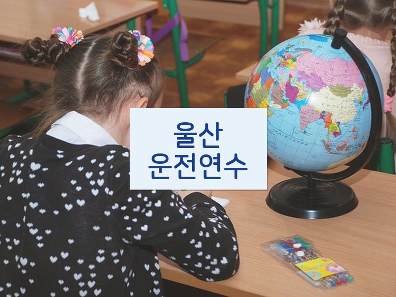 울산운전연수 후기