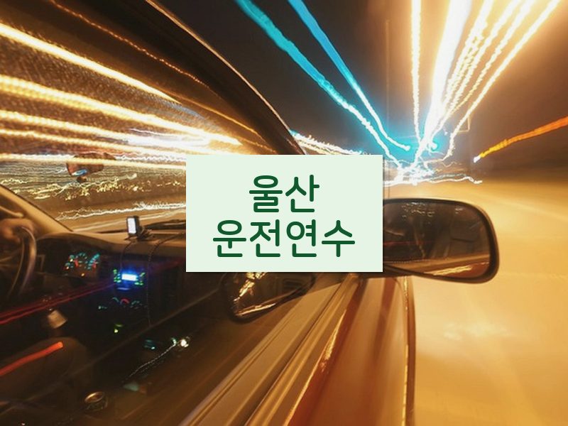 울산운전연수 후기