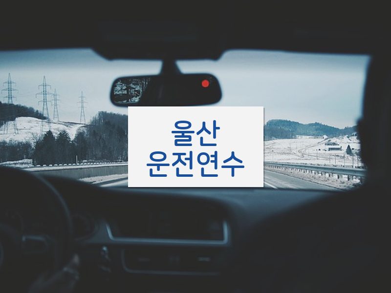 울산운전연수 후기