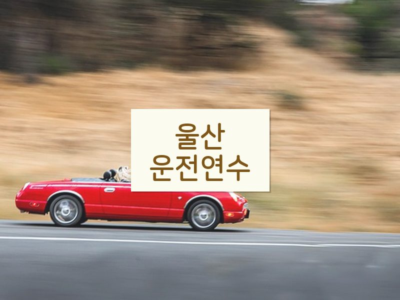 울산운전연수 후기
