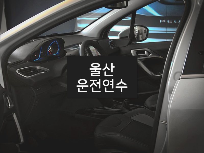 울산운전연수 후기