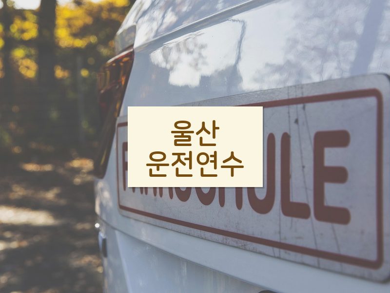 울산운전연수 후기
