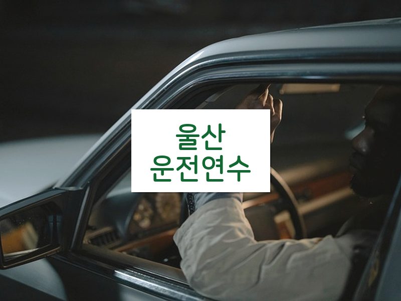 울산운전연수 후기