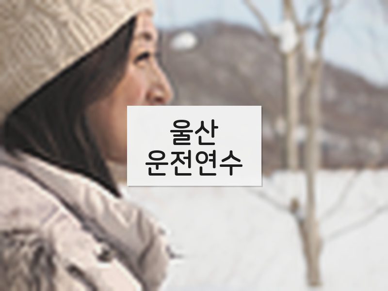 울산운전연수 후기