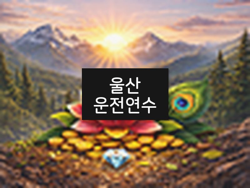 울산운전연수 후기