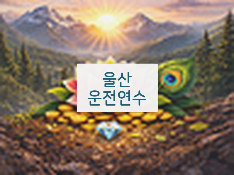 울산운전연수 후기