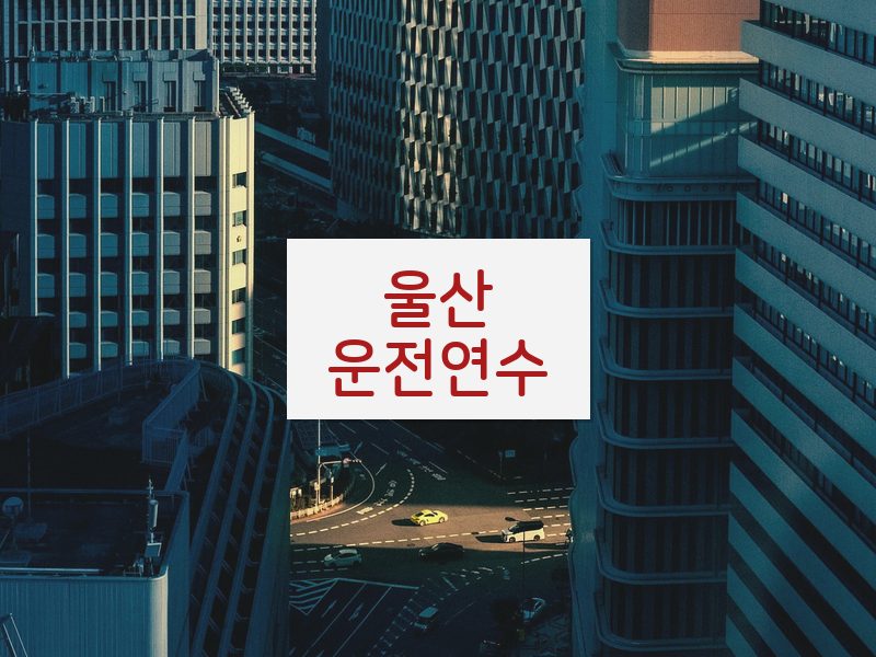 울산운전연수 후기