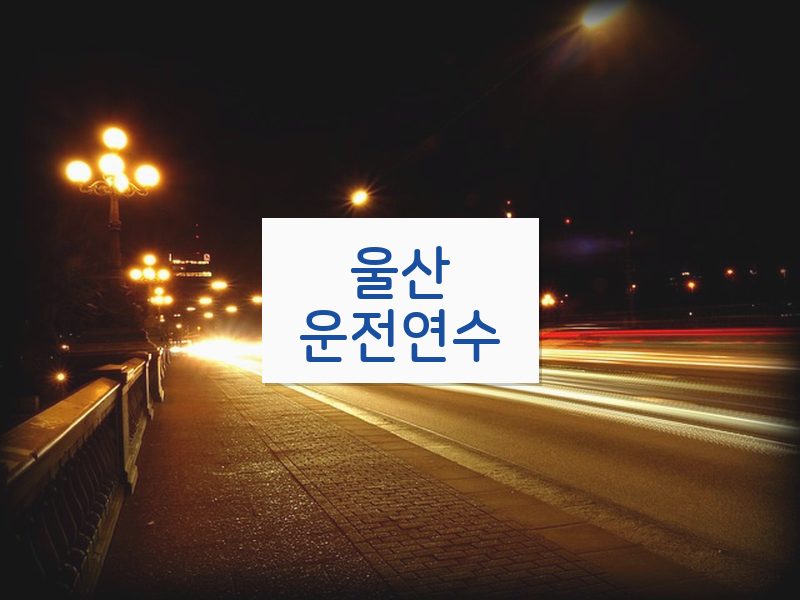 울산운전연수 후기