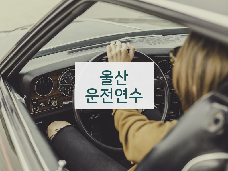 울산운전연수 후기
