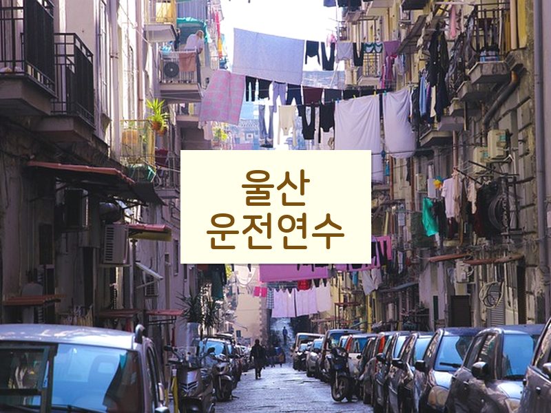 울산운전연수 후기