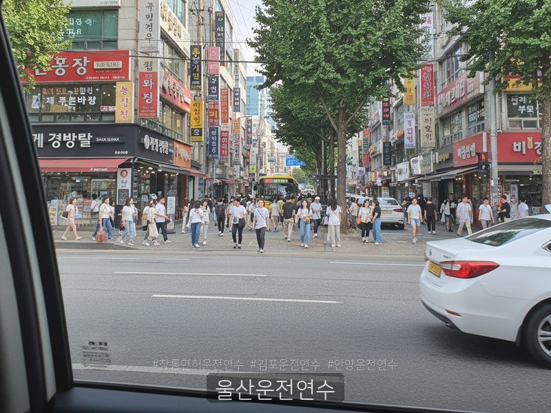 울산운전연수 후기