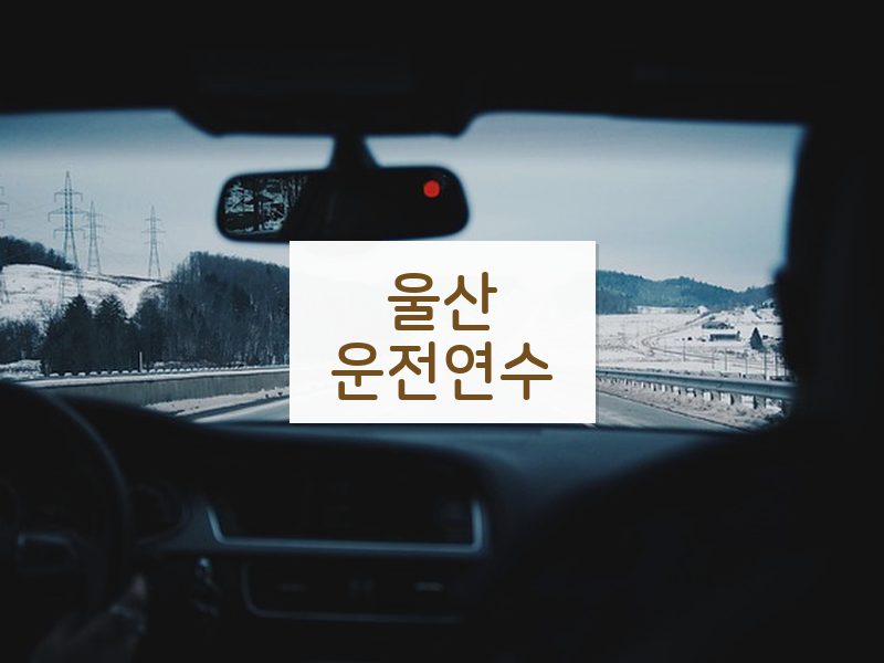 울산운전연수 후기