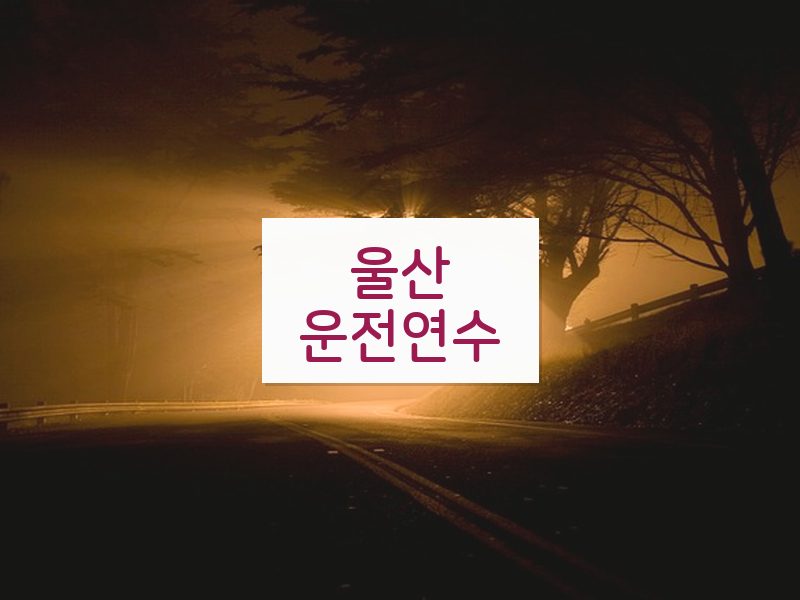 울산운전연수 후기