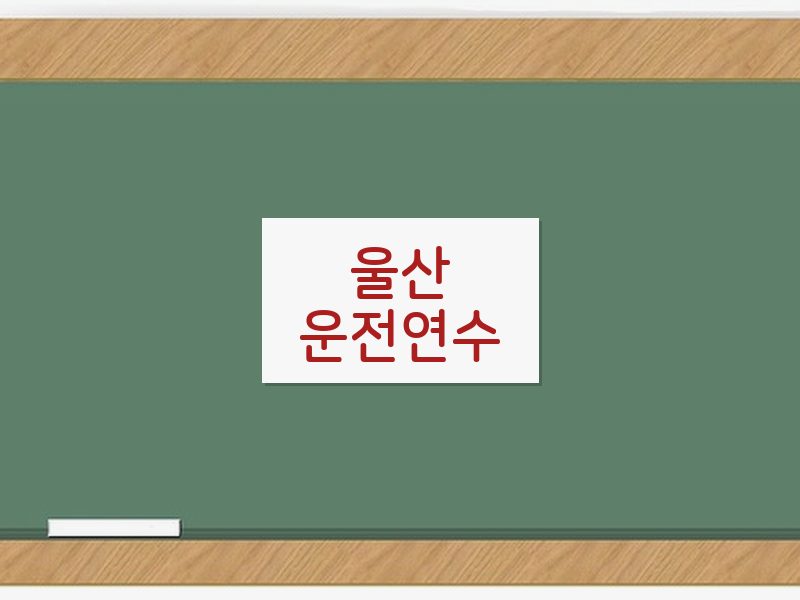 울산운전연수 후기