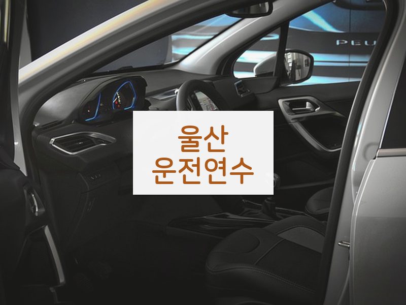 울산운전연수 후기