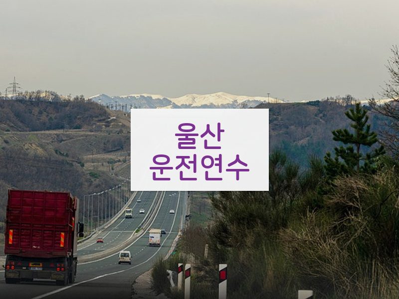 울산운전연수 후기