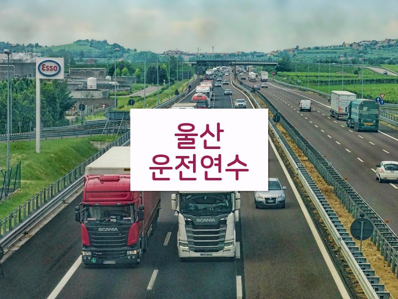 울산운전연수 후기