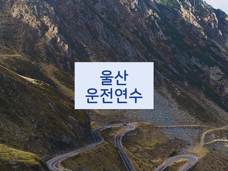 울산운전연수 후기