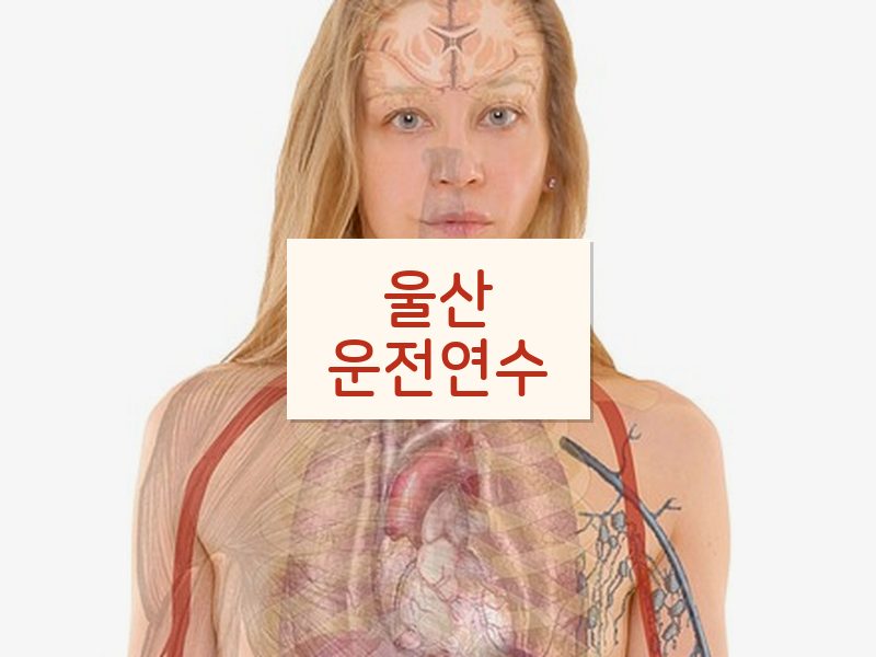 울산운전연수 후기