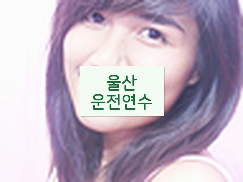 울산운전연수 후기