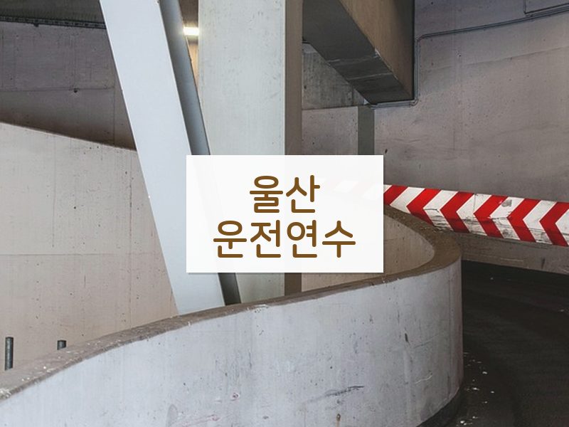 울산운전연수 후기