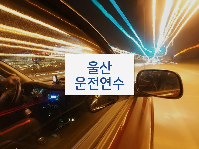 울산운전연수 후기