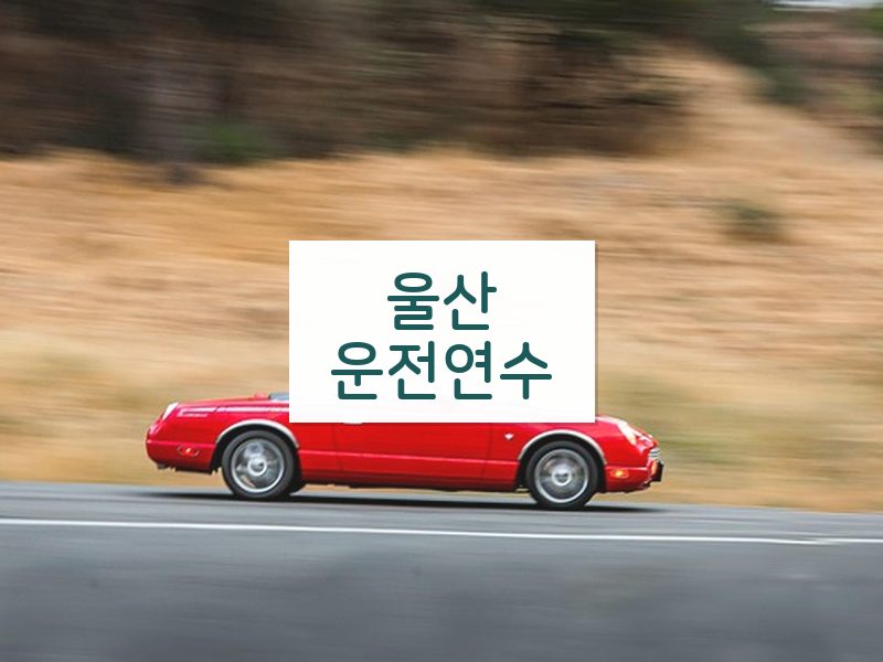 울산운전연수 후기