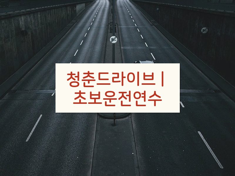 청춘드라이브 | 초보운전연수 후기