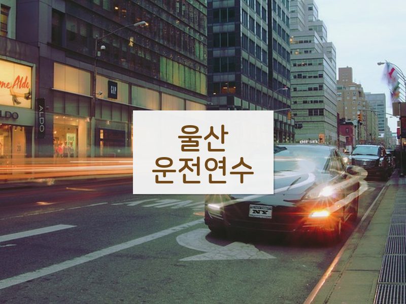 울산운전연수 후기