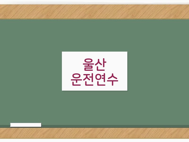 울산운전연수 후기