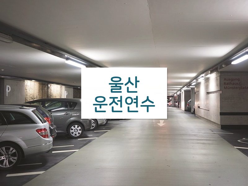 울산운전연수 후기
