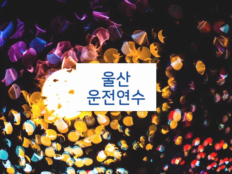 울산운전연수 후기