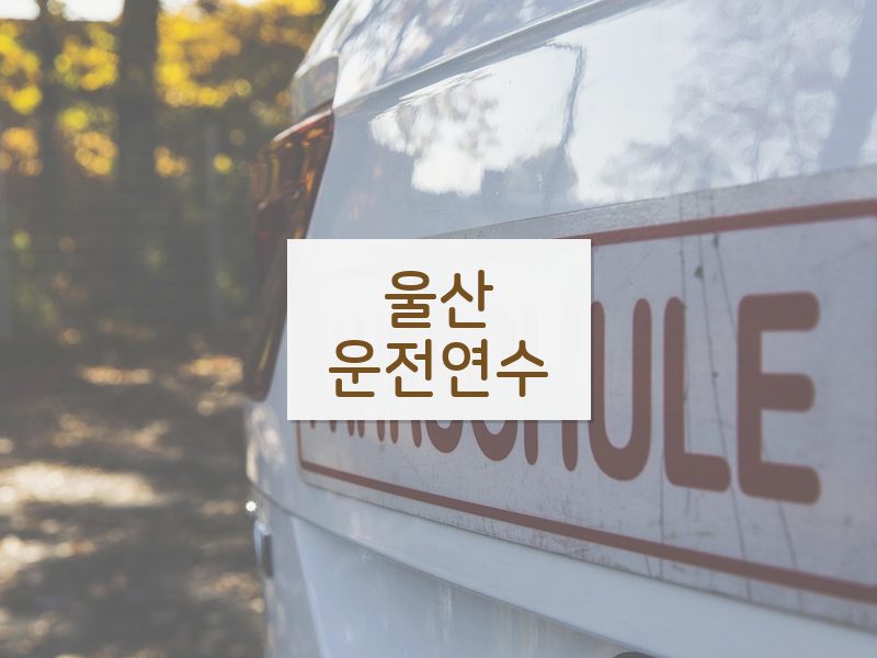 울산운전연수 후기