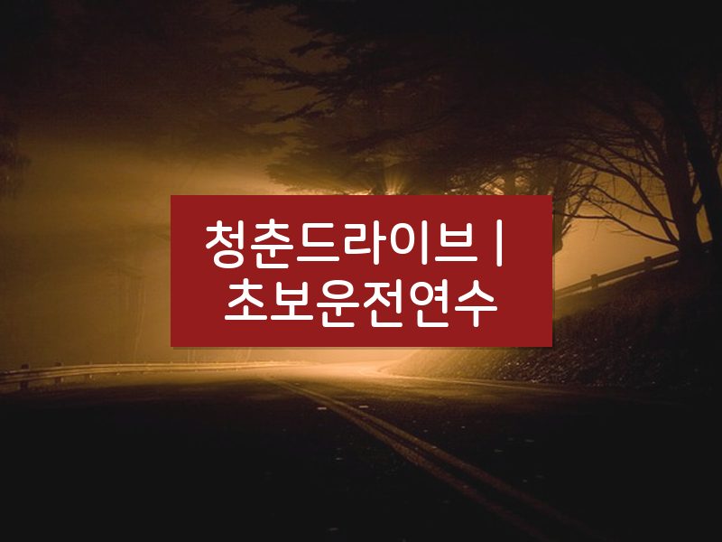청춘드라이브 | 초보운전연수 후기