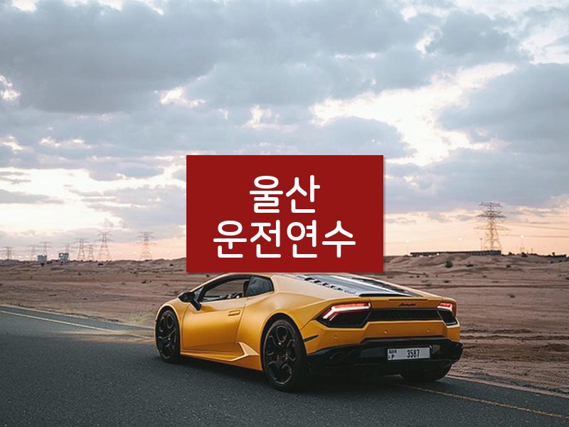 울산운전연수 후기