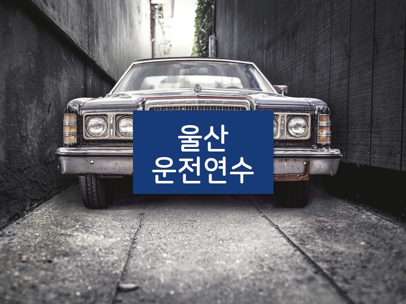 울산운전연수 후기