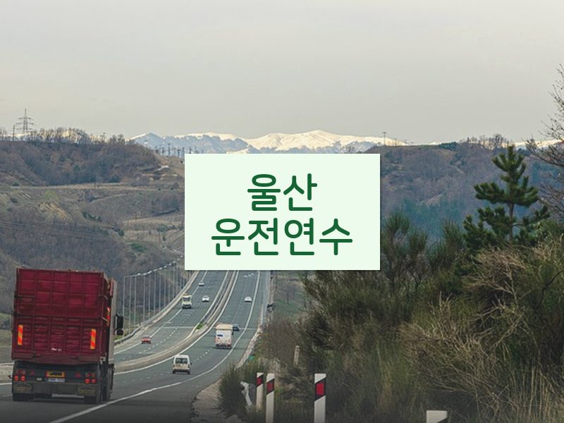 울산운전연수 후기
