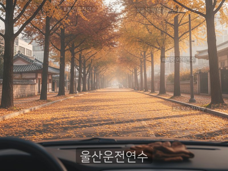 울산운전연수 후기