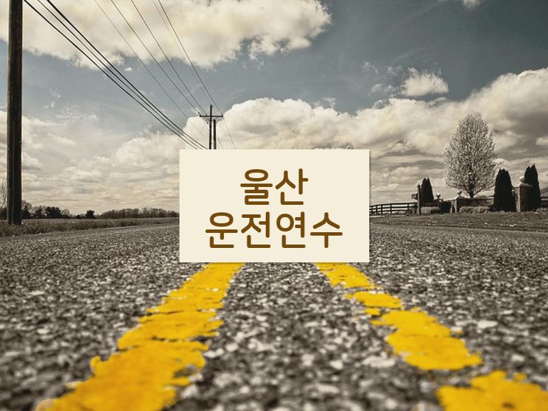 울산운전연수 후기