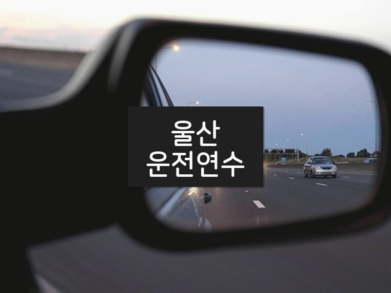 울산운전연수 후기