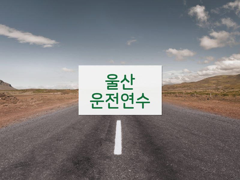 울산운전연수 후기