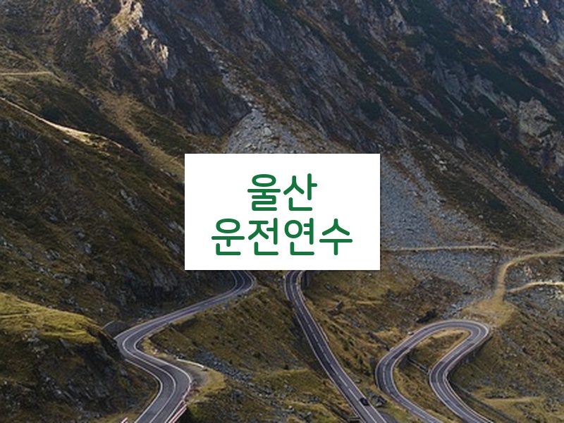 울산운전연수 후기