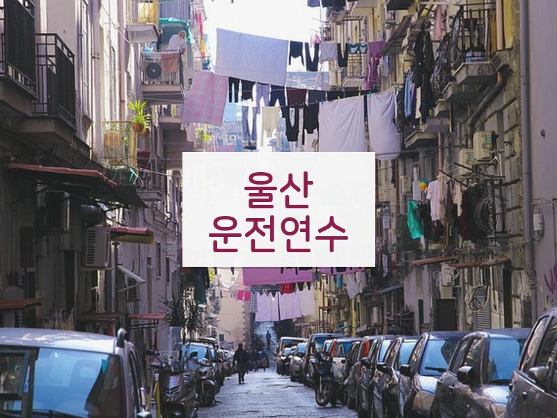 울산운전연수 후기