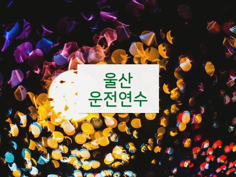 울산운전연수 후기