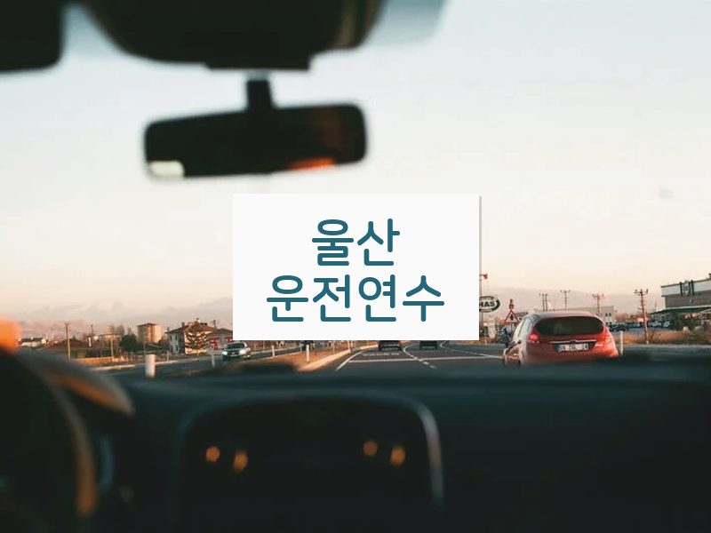 울산운전연수 후기